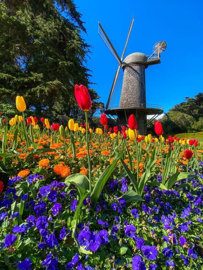 Golden Gate Park Suite サンフランシスコ エクステリア 写真