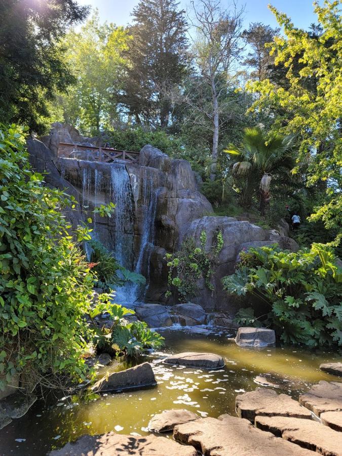 Golden Gate Park Suite サンフランシスコ エクステリア 写真